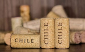 Three corks of Chile wine bottles with many corks in the background