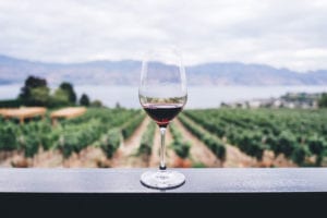 Wine-Glass